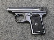 Sauer 1919